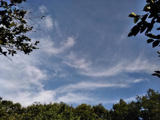 20190816,1.jpg